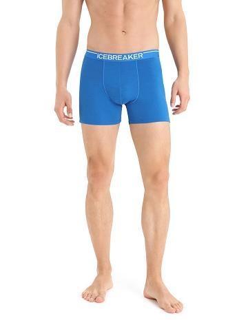 Pánské Spodní Prádlo Icebreaker Merino Anatomica Boxers Blankyt | CZ 1636KORI